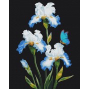 Irises flowers number painting kit with frame