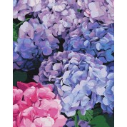 Hydrangea number painting kit with frame