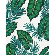 Monstera leaves number painting kit with frame